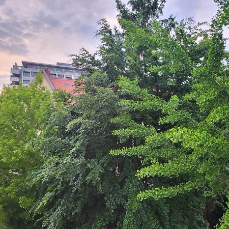 Privatzimmer An Der Uniklinik 마인츠 외부 사진